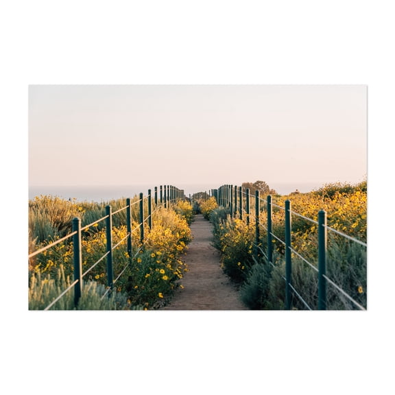 Hilltop Park Path 01 - Dana Point California Photography Unframed Wall Art Print 20 x 30 inches
