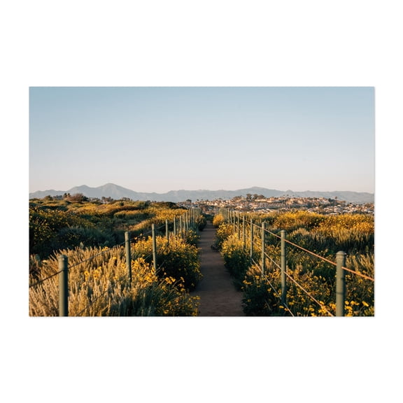 Hilltop Park Path 02 - Dana Point California Photography Nature Flowers Landscape Scenic Unframed Wall Art Print 4 x 6 inches