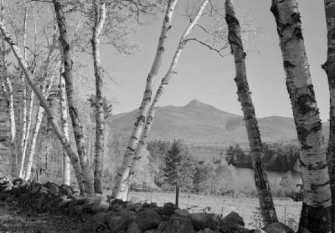 Hilly landscape with birch trees on the foreground Canvas Art - (24 x 36)