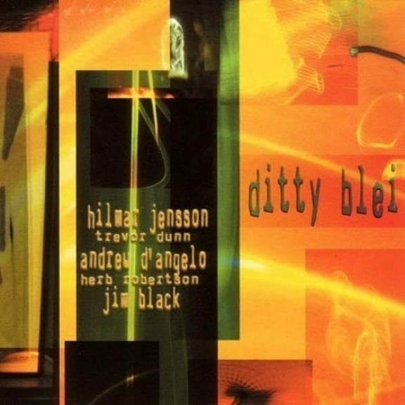 Hilmar Jensson - Ditty Blei - Music & Performance - SACD