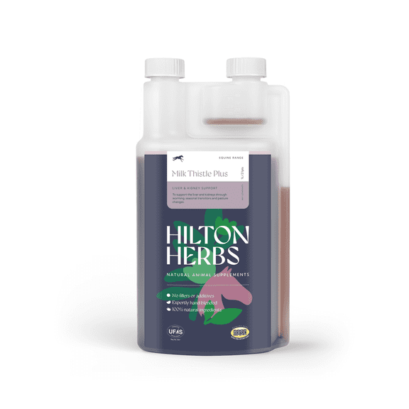 Hilton Herbs Milk Thistle Plus Liquid Supplement for Horses 1.05pt