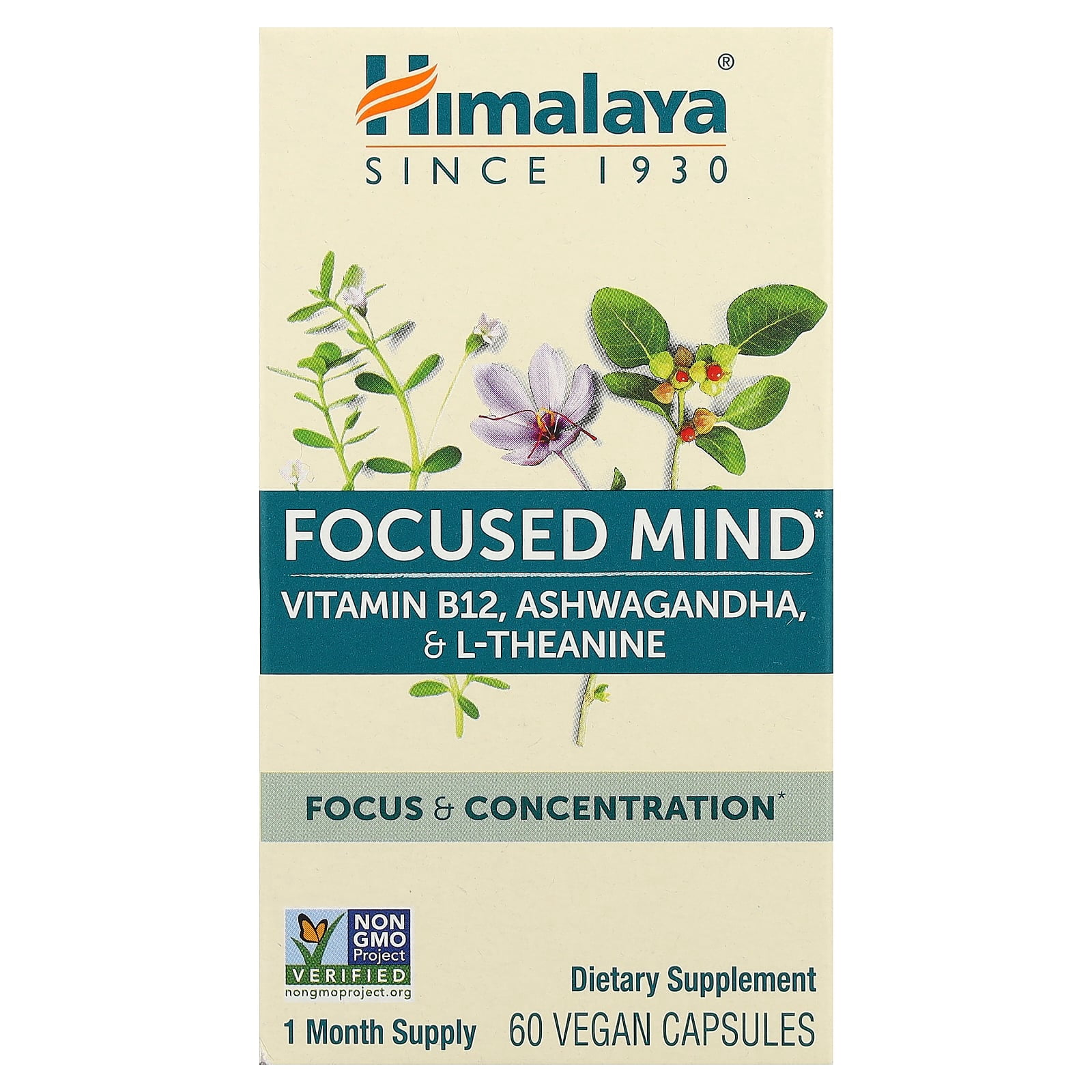 ashwagandha vs l carnitine Himalaya Focused Mind, 60 Vegan Capsules Superoxide dismutase (SOD), glutathione Products Tablets:90 Tablets