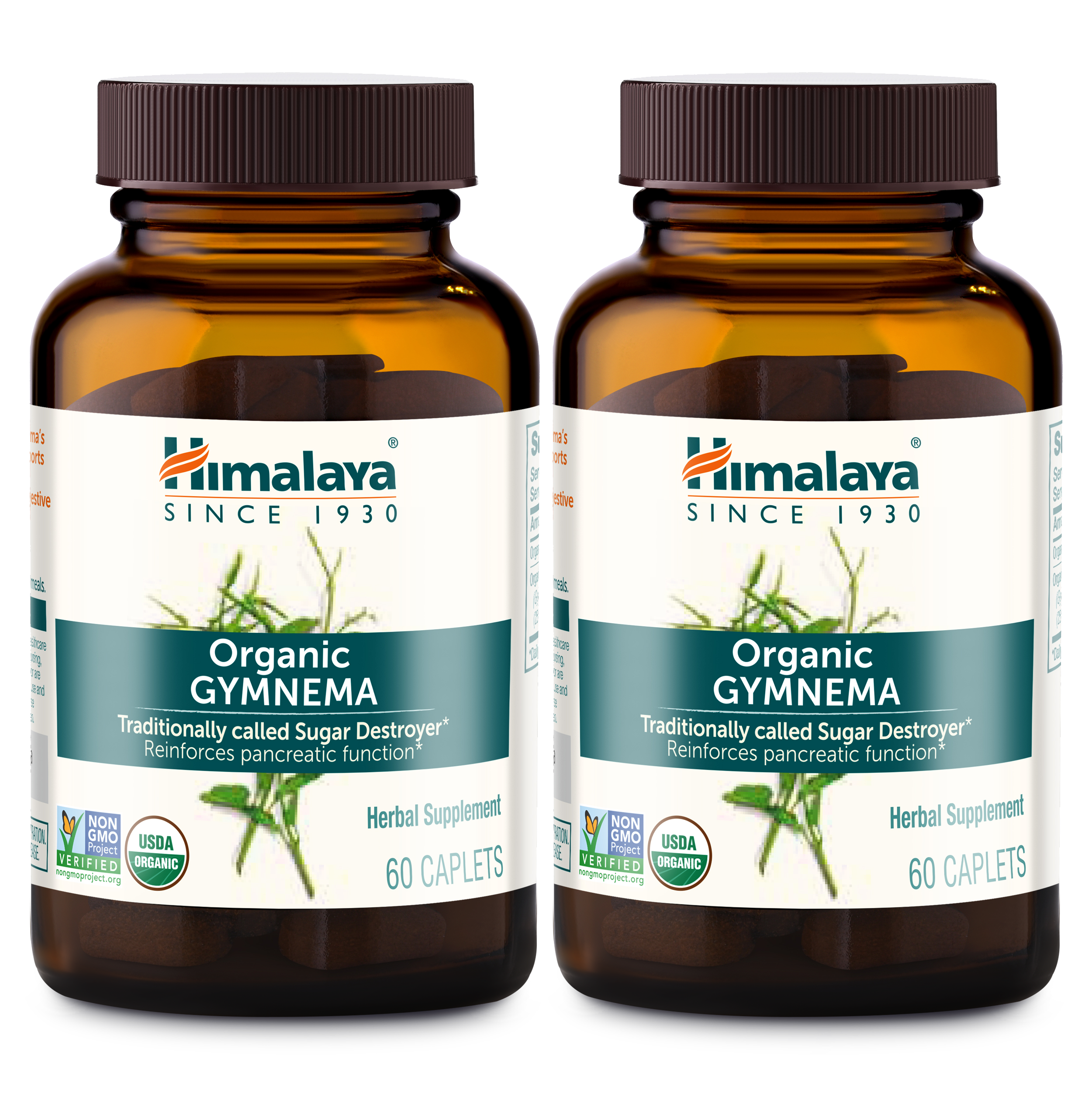 Himalaya Gymnema Supplement, Pancreatic Function, Glucose Metabolism ...