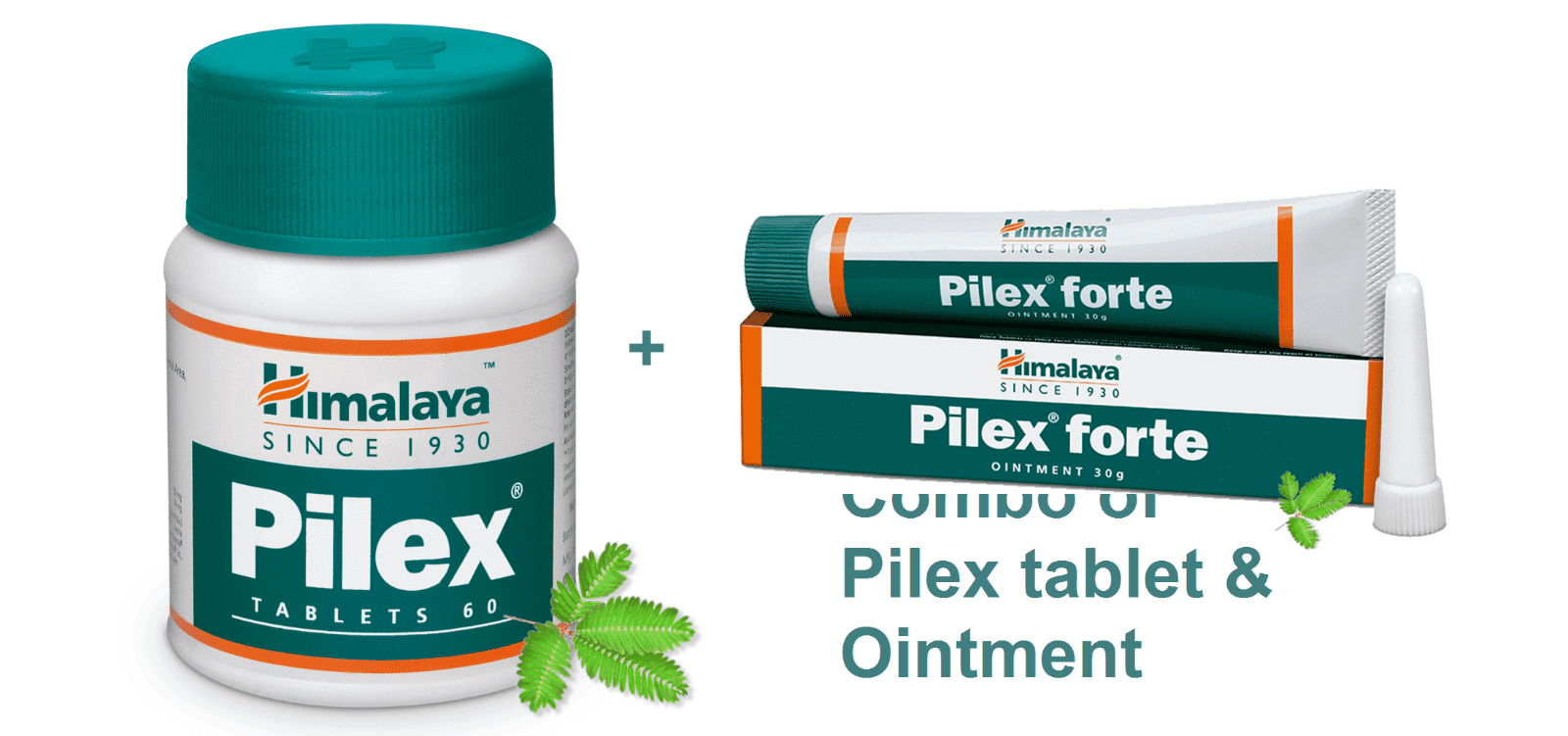 Himalaya wellness pure herbs Pilex tablet & Pilex forte Ointment