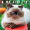 thumbnail image 1 of Himalayan Cats 2025 Wall Calendar, 1 of 5