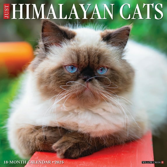 Himalayan Cats 2025 Wall Calendar