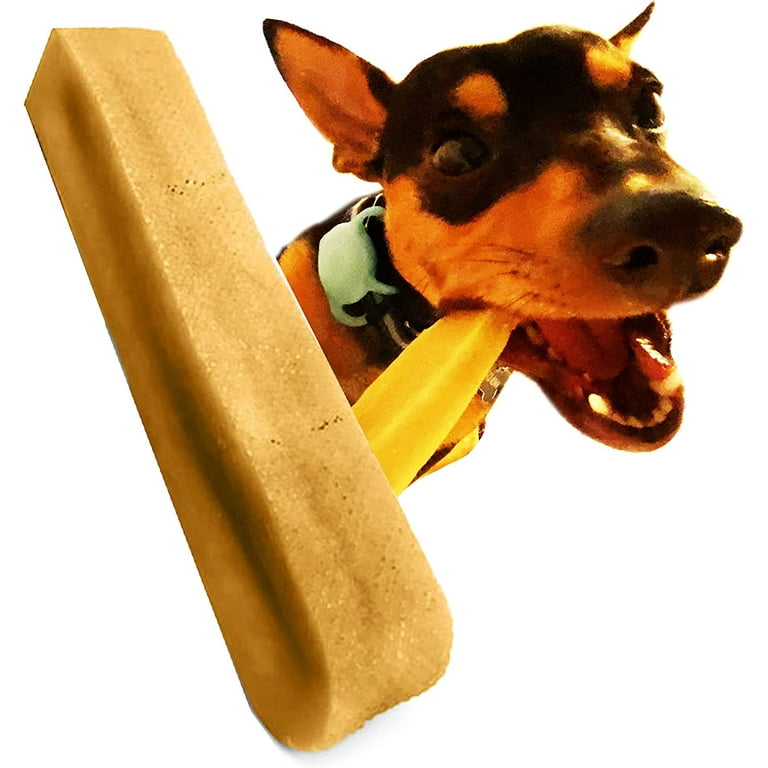 Bone stick for outlet dog