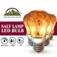 thumbnail image 1 of Himalayan Glow Large Ionic Natural Salt LED Light Bulb Crystal Lamp, Pack of 4, 1 of 10