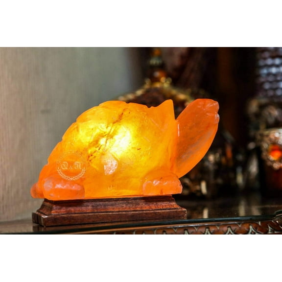 Himalayan Salt Turtle Lamp