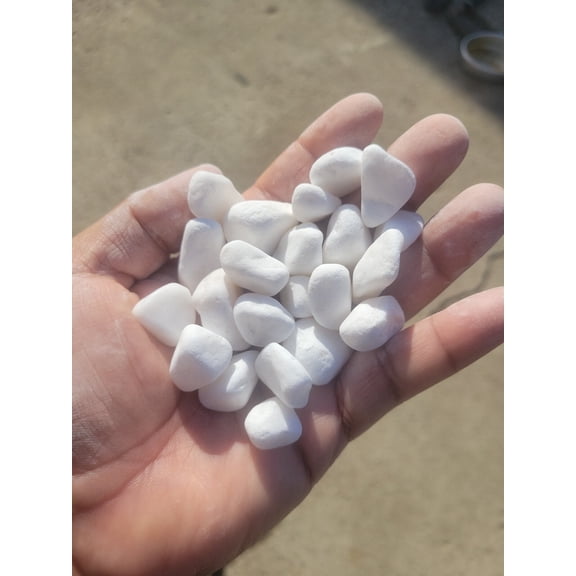 Himalayan White Pebbles Landscape Garden Outdoor Rocks aquarium 40 lb tumbled