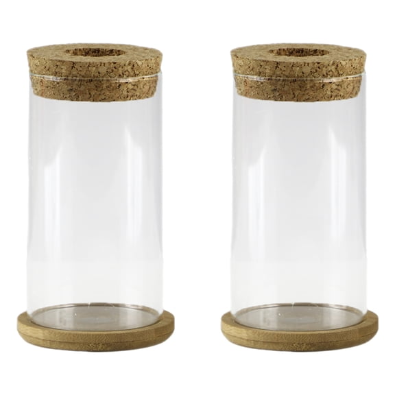 Himition 2 Sets Clear Glass Succulent Vase Succulent Planter Floral Arrangement Planter