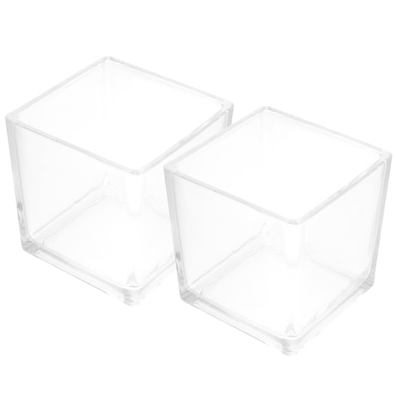 Himition Set of Glass Cube Flower for Hydroponic Plants Table Centerpiece Decoration