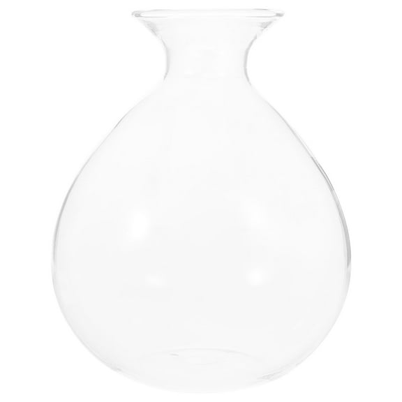 Himition Avocado Tree Flower Vase Water Planting Pot Avocado Tree Growing Flowerpot Glass Hydroponic Vase