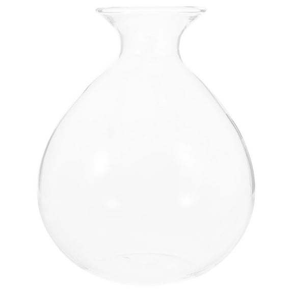 Himition Avocado Tree Flower Vase Water Planting Pot Avocado Tree Growing Flowerpot Glass Hydroponic Vase