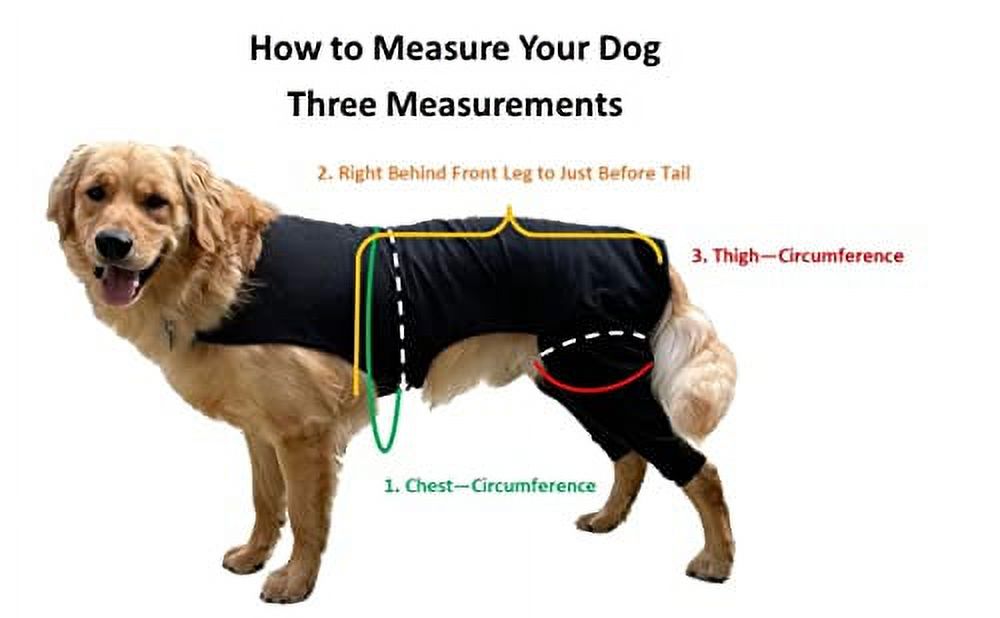 Hind Leg Sleeve Prevents Licking Back Legs, Cone of Shame Alternative