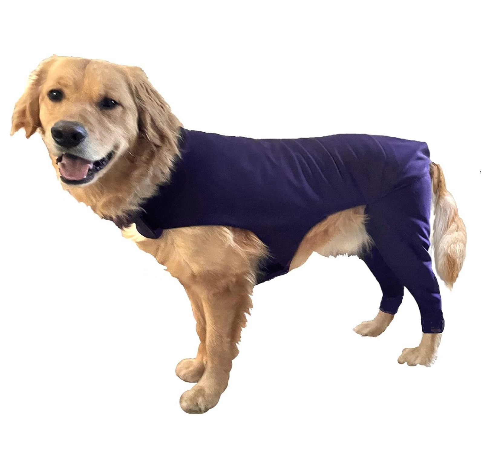Hind Leg Sleeve Prevents Licking Back Legs, Cone of Shame Alternative