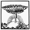 thumbnail image 1 of Hinduism Egg And Lotus. Nthe Egg And Lotus The Hindu Symbol Of Health And Eternity. Wood Engraving. Print by, 1 of 3