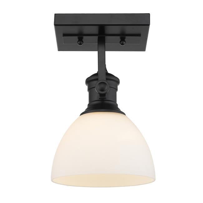 Matte Black Glass Transitional Indoor/Outdoor Light Fixture