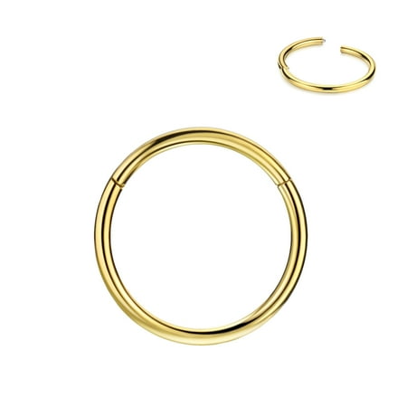 Hinged Cartilage Earring Hoop 14g 8mm Piercing Earring Hoop for Rook Helix Daith Tragus 14 Gauge Surgical Steel Cartilage Hoop Seamless