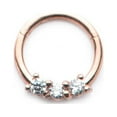 thumbnail image 1 of Hinged Hoop Rings 16GA with Clear CZ Gems- Sold Separately, 1 of 4