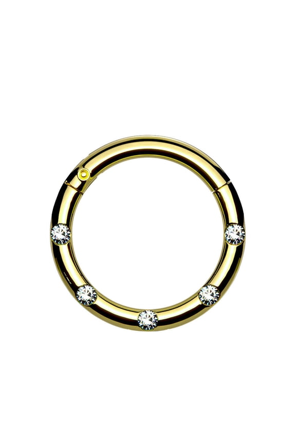 Hinged Segment Hoop Rings with 5 Flush Set Front Facing Petite Crystals