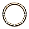 thumbnail image 1 of Hinged Segment Hoop Rings with 5 Flush Set Front Facing Petite Crystals, 1 of 10