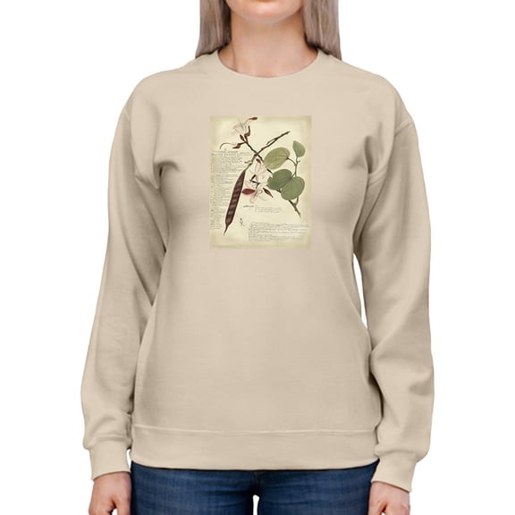 Hinia Vareigata Sweatshirt Women -A. Descubes Designs, Female 5X-Large