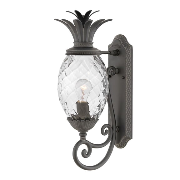 Hinkley Lighting 2120 Museum Black Plantation 1 Light 21" Tall Outdoor Wall Sconce