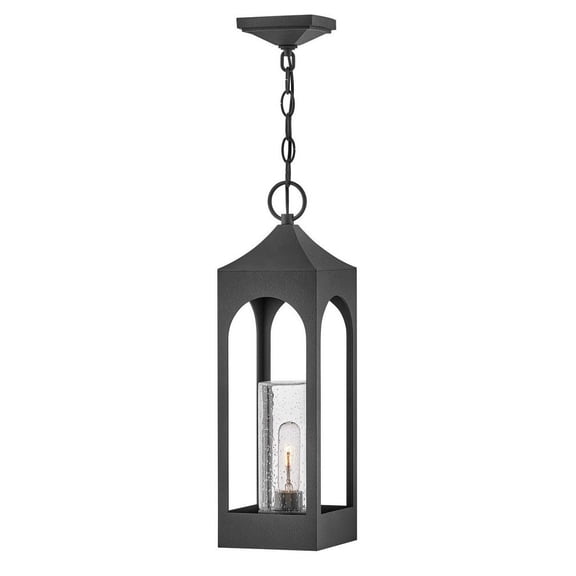 1 Light Medium Outdoor Hanging Lantern Hinkley Lighting 18082Dsz