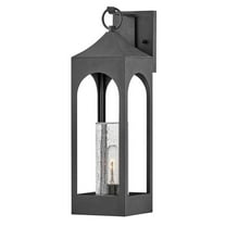 18084DSZ Hinkley Lighting Amina - 1 Light Medium Outdoor Wall Mount Lantern