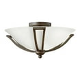 thumbnail image 1 of Hinkley Lighting - Bolla - 2 Light Small Flush Mount in Transitional Style -, 1 of 5
