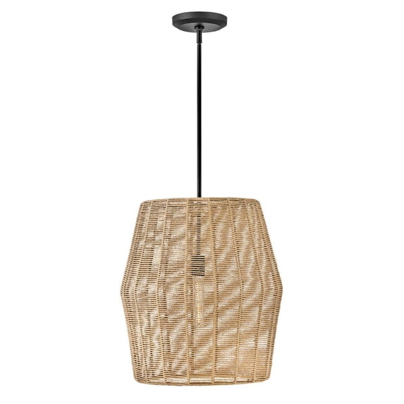 Hinkley Lighting - Luca - 1 Light Large Convertible Pendant In Transitional and