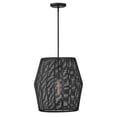 thumbnail image 1 of Hinkley Lighting - Luca - 1 Light Large Convertible Pendant In Transitional and, 1 of 8