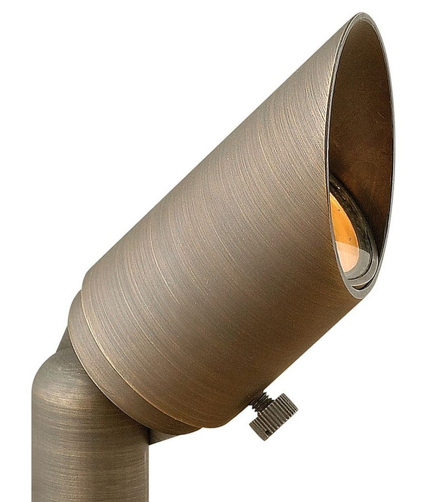 Matte Bronze Brass Outdoor Spot Light with Clear Glass Lens