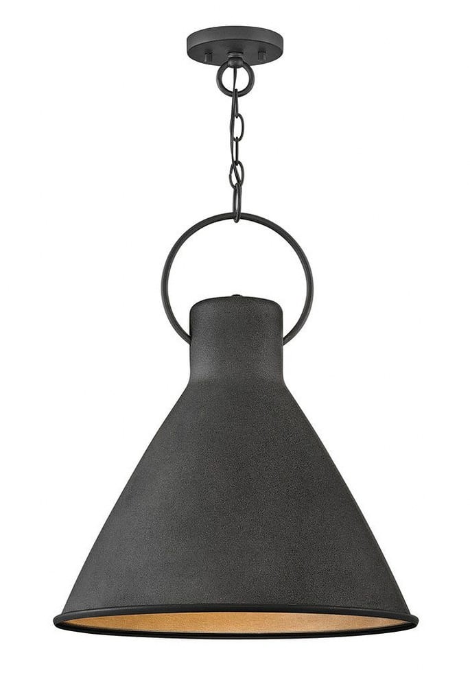 Winnie Aged Zinc 18" Pendant Light with Oversized Loop - Black