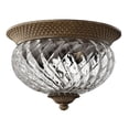 thumbnail image 1 of Hinkley Lighting - Plantation - 2 Light Small Flush Mount in Traditional-Glam, 1 of 9
