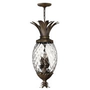 Hinkley Lighting - Plantation - 4 Light Large Pendant in Traditional-Glam Style