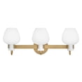 thumbnail image 1 of Sylvie 3 - Light Heritage Brass Brass Mid Century Modern - LED Steel Wall Sconce, 1 of 14