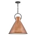 thumbnail image 1 of Hinkley Lighting - Winnie - 12W 1 LED Medium Pendant In Traditional Style-21.5, 1 of 12