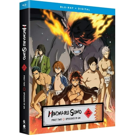 Hinomaru Sumo: Part 2