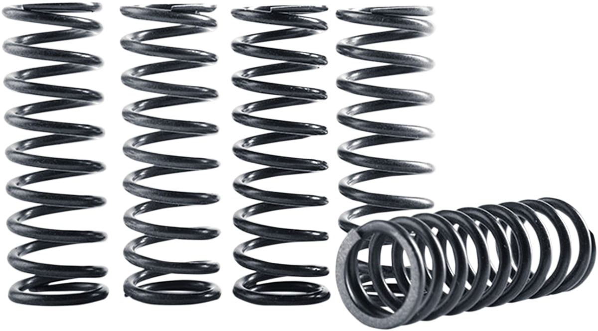 Hinson CS294-5-0109 Hi-Temp Clutch Spring Kit