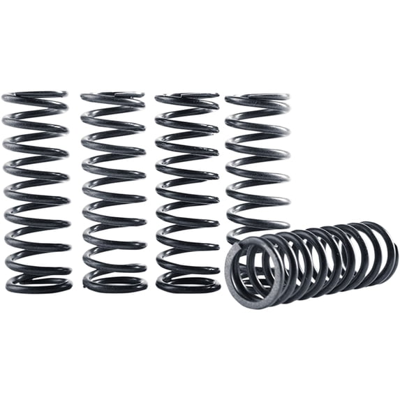Hinson CS341-5-0311 High Temp Clutch Springs