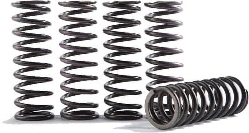 Hinson CS341-5-0415 Hi-Temp Clutch Spring Kit