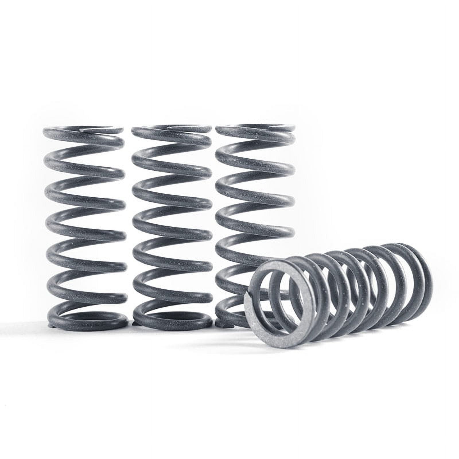 Hinson Hi-Temp Clutch Spring Kit 4 Springs (CS290-4-0710)