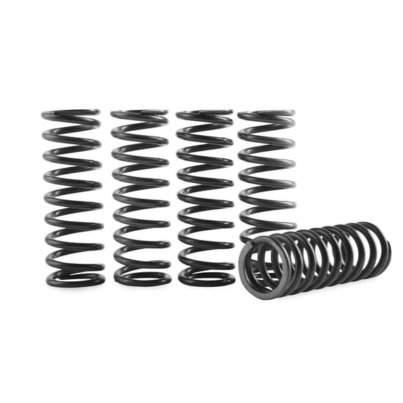 Hinson Hi-Temp Clutch Spring Kit 5 Springs (CS294-5-0109)