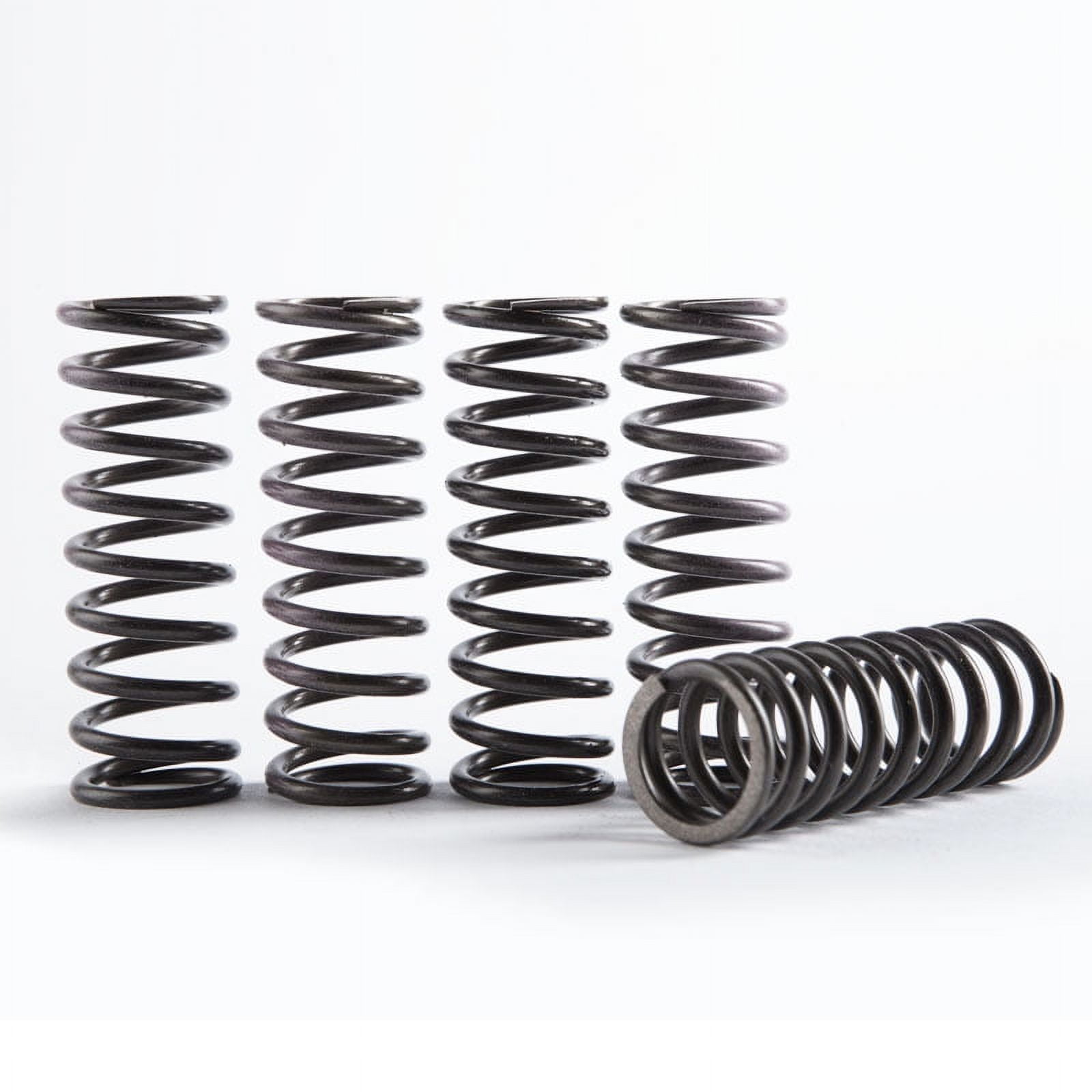 Hinson Hi-Temp Clutch Spring Kit 5 Springs (CS357-5-0109)