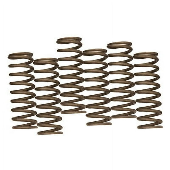 Hinson Hi-Temp Clutch Spring Kit For Honda