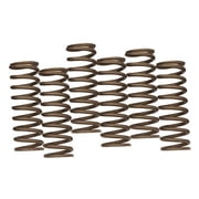Hinson Hi-Temp Clutch Spring Kit for Husqvarna FE 450 2016-2017