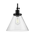 thumbnail image 1 of Hinton Collection One-Light Matte Black and Seeded Glass Vintage Style Hanging Pendant Light, 1 of 10