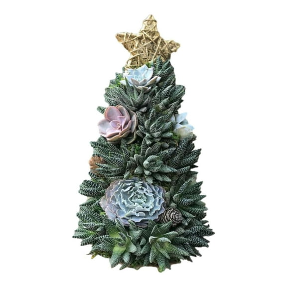 Hinvhai Clearance Handmade Surprise Christmas Gift Succulent Christmas Tree